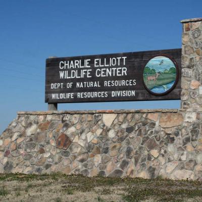 Charlie Elliott Wildlife Center