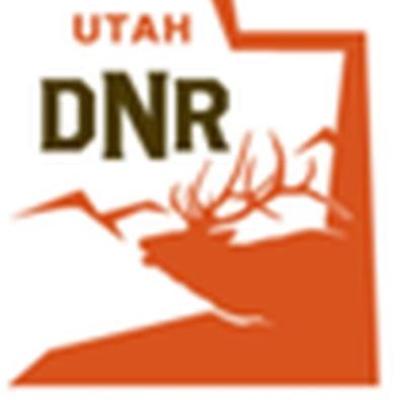 Profile picture for user email