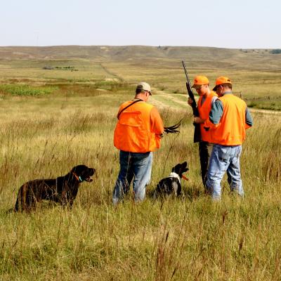 A student hunter with their instructor and hunting guide in the field with two dogs.