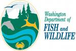 Washington DFW Logo
